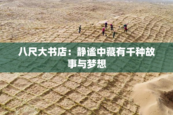 八尺大书店：静谧中藏有千种故事与梦想