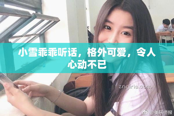 小雪乖乖听话，格外可爱，令人心动不已