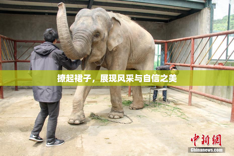 撩起裙子，展现风采与自信之美