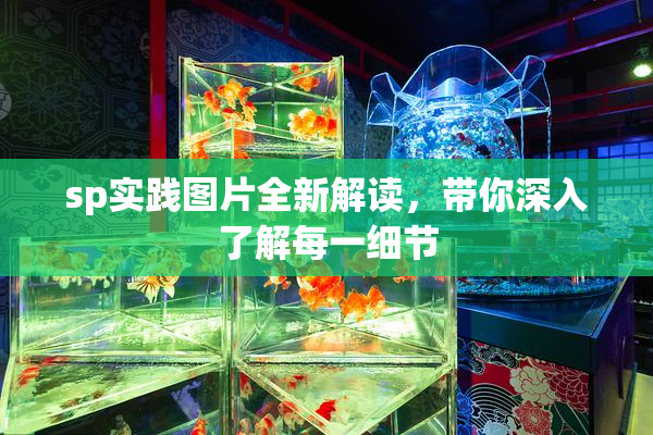 sp实践图片全新解读，带你深入了解每一细节