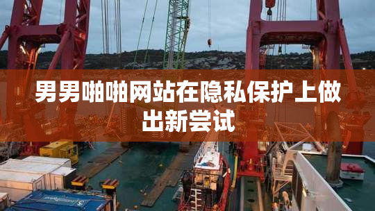 男男啪啪网站在隐私保护上做出新尝试