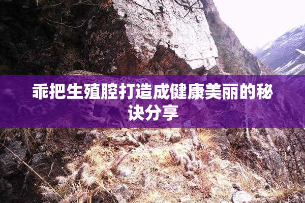 乖把生殖腔打造成健康美丽的秘诀分享