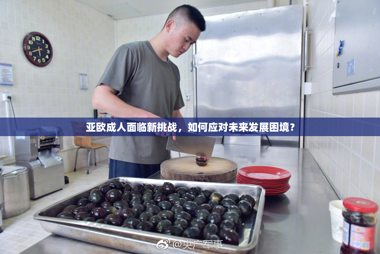 亚欧成人面临新挑战，如何应对未来发展困境？