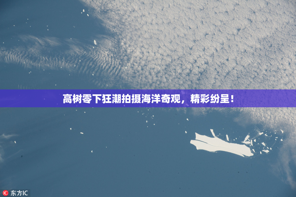 高树零下狂潮拍摄海洋奇观，精彩纷呈！