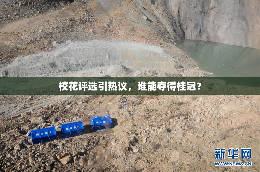 校花评选引热议，谁能夺得桂冠？