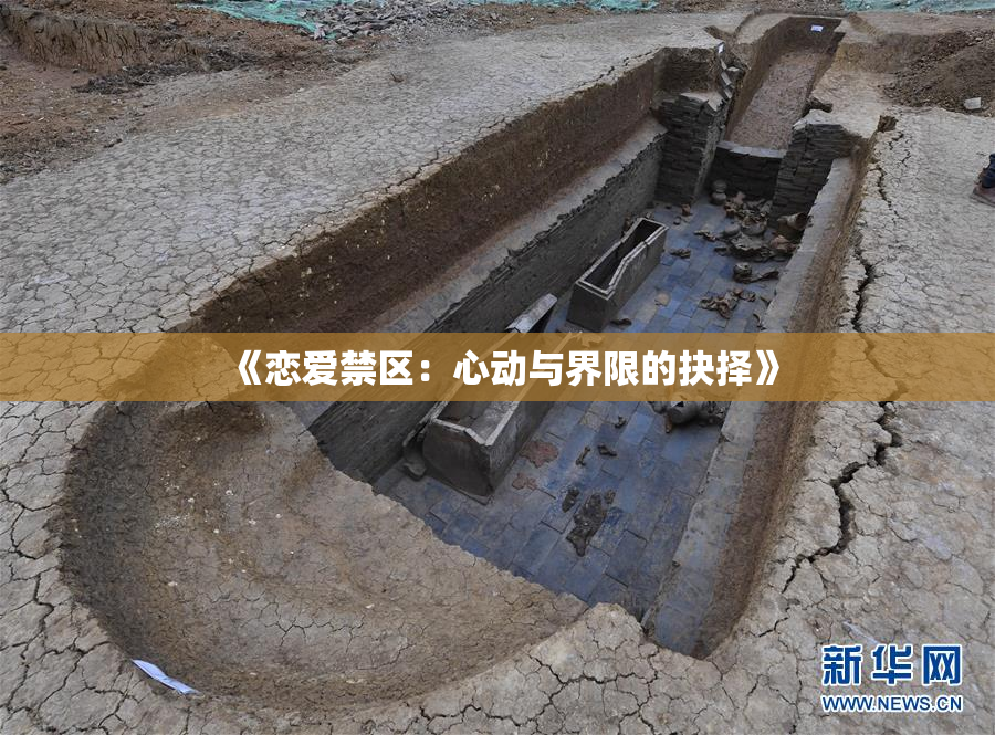 《恋爱禁区：心动与界限的抉择》