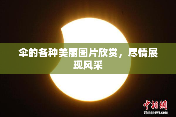 伞的各种美丽图片欣赏，尽情展现风采