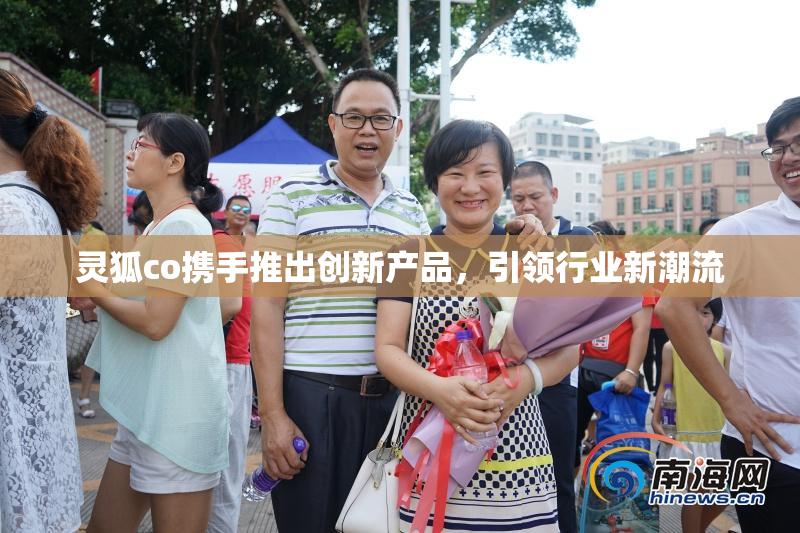 灵狐co携手推出创新产品，引领行业新潮流