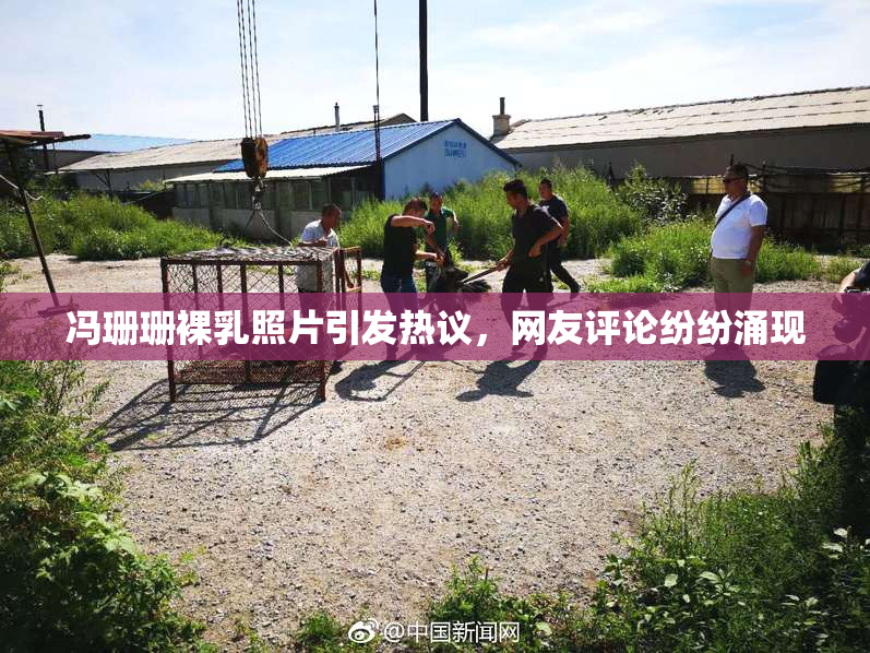 冯珊珊裸乳照片引发热议，网友评论纷纷涌现