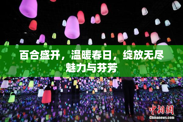 百合盛开，温暖春日，绽放无尽魅力与芬芳
