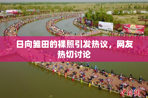 日向雏田的裸照引发热议，网友热切讨论