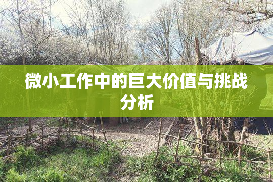 微小工作中的巨大价值与挑战分析