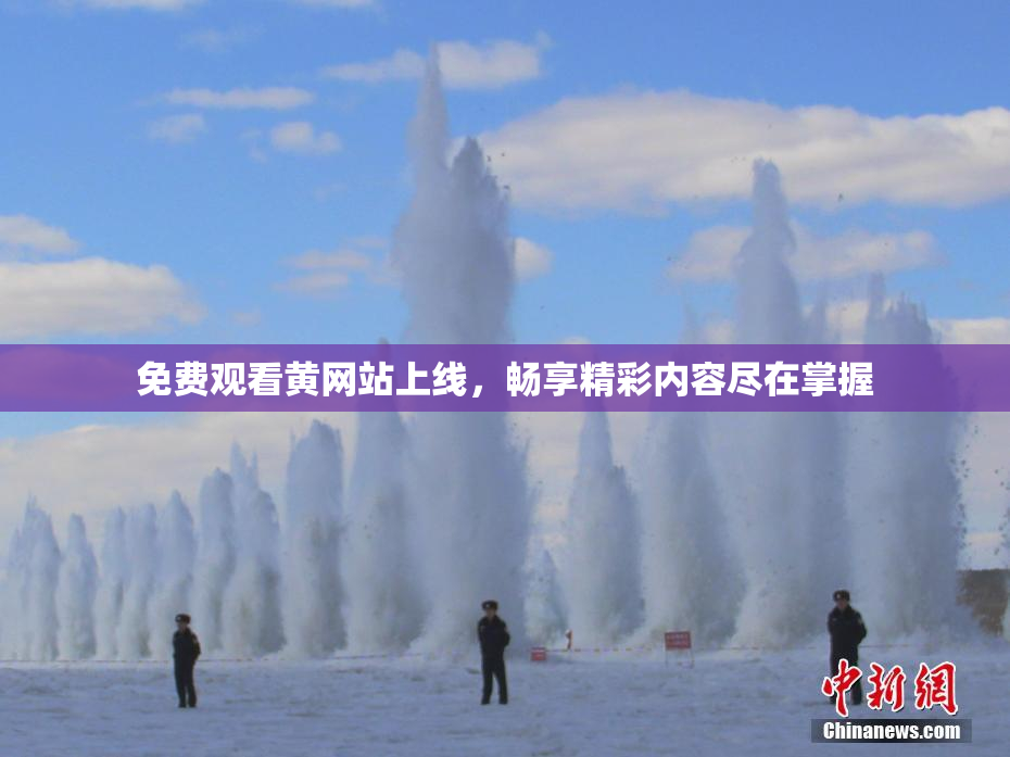 免费观看黄网站上线，畅享精彩内容尽在掌握
