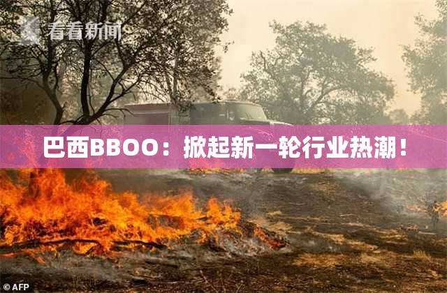 巴西BBOO：掀起新一轮行业热潮！