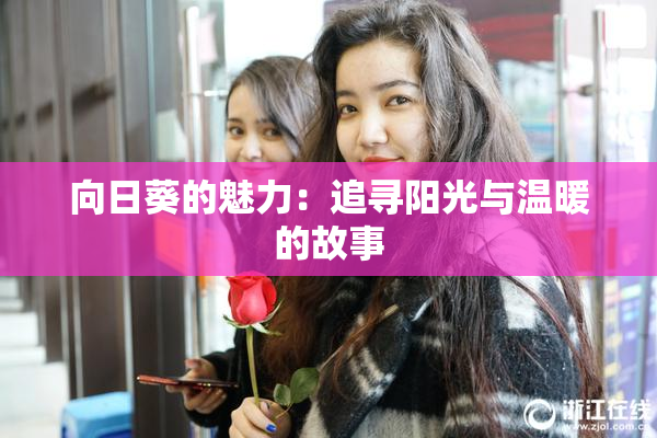 向日葵的魅力：追寻阳光与温暖的故事