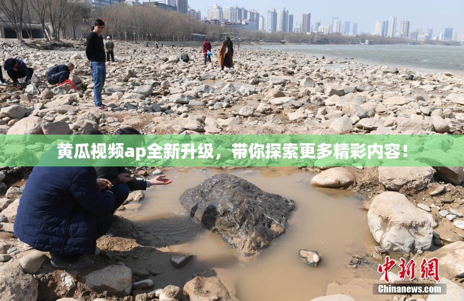黄瓜视频ap全新升级，带你探索更多精彩内容！
