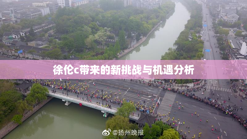 徐伦c带来的新挑战与机遇分析