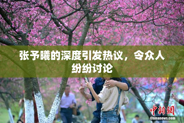 张予曦的深度引发热议，令众人纷纷讨论