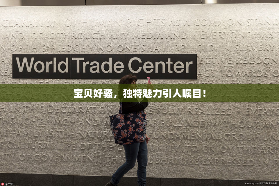 宝贝好骚，独特魅力引人瞩目！
