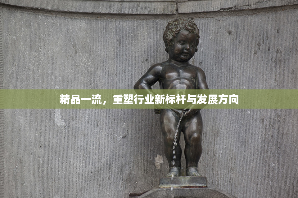 精品一流，重塑行业新标杆与发展方向