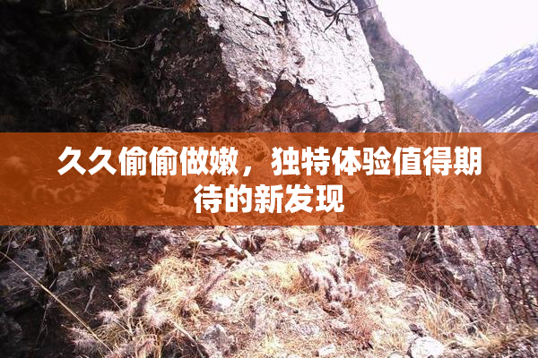 久久偷偷做嫩，独特体验值得期待的新发现