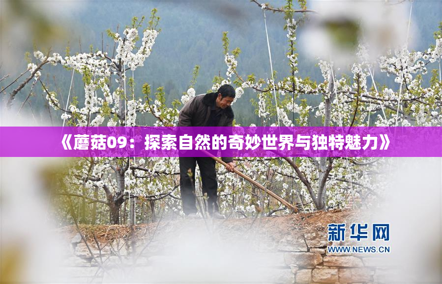 《蘑菇09：探索自然的奇妙世界与独特魅力》