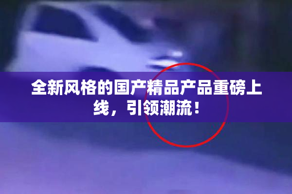 全新风格的国产精品产品重磅上线，引领潮流！