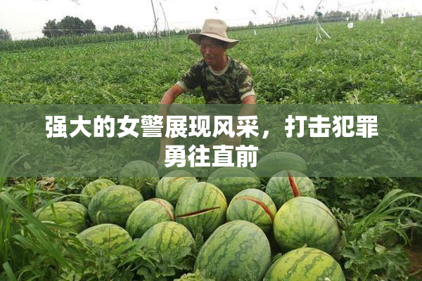 强大的女警展现风采，打击犯罪勇往直前