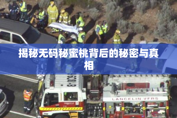 揭秘无码秘蜜桃背后的秘密与真相