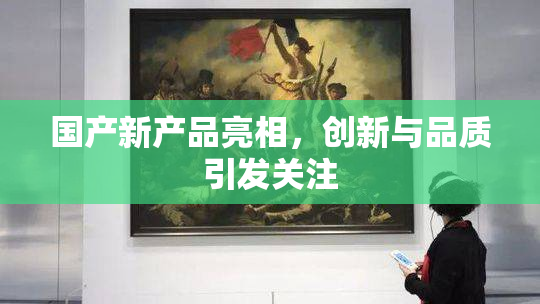 国产新产品亮相，创新与品质引发关注