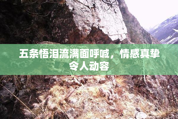 五条悟泪流满面呼喊，情感真挚令人动容