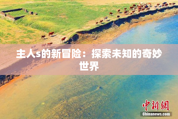 主人s的新冒险：探索未知的奇妙世界