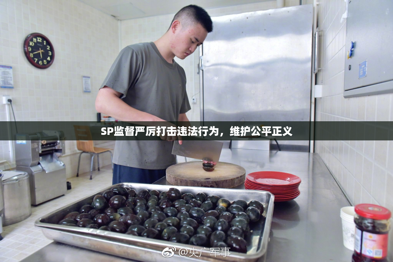 SP监督严厉打击违法行为，维护公平正义