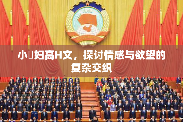 小婬妇高H文，探讨情感与欲望的复杂交织