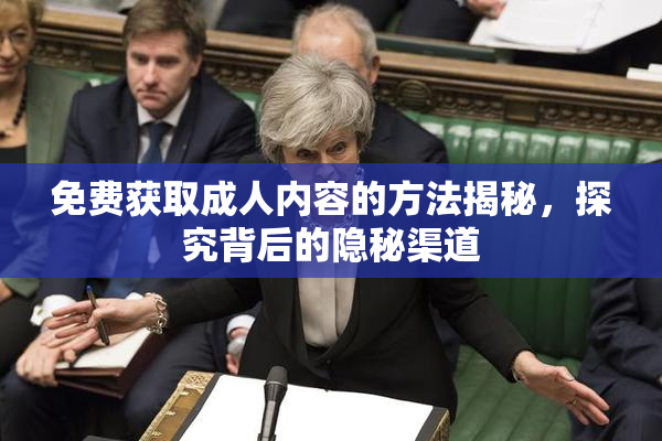 免费获取成人内容的方法揭秘，探究背后的隐秘渠道