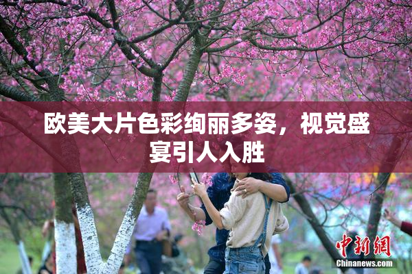 欧美大片色彩绚丽多姿，视觉盛宴引人入胜