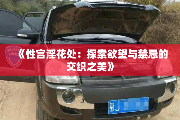 《性宫淫花处：探索欲望与禁忌的交织之美》