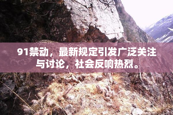 91禁动，最新规定引发广泛关注与讨论，社会反响热烈。