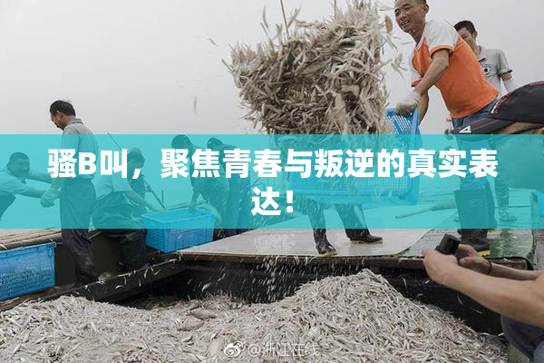 骚B叫，聚焦青春与叛逆的真实表达！