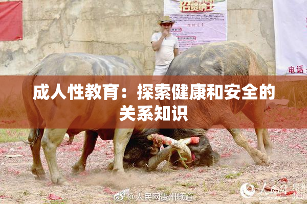 成人性教育：探索健康和安全的关系知识