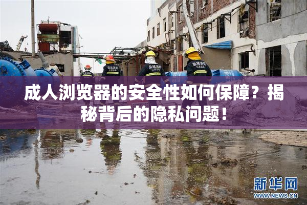 成人浏览器的安全性如何保障？揭秘背后的隐私问题！