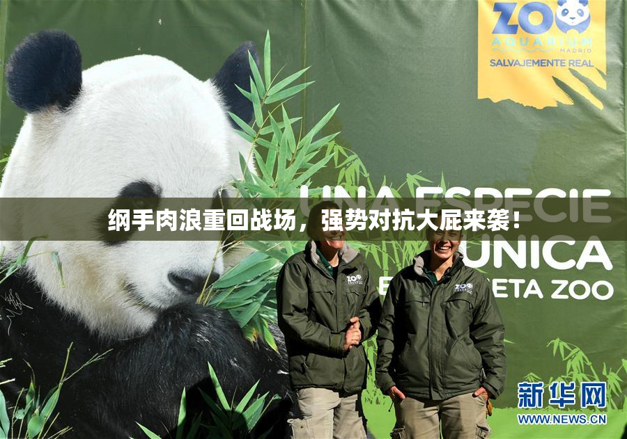 纲手肉浪重回战场，强势对抗大屁来袭！