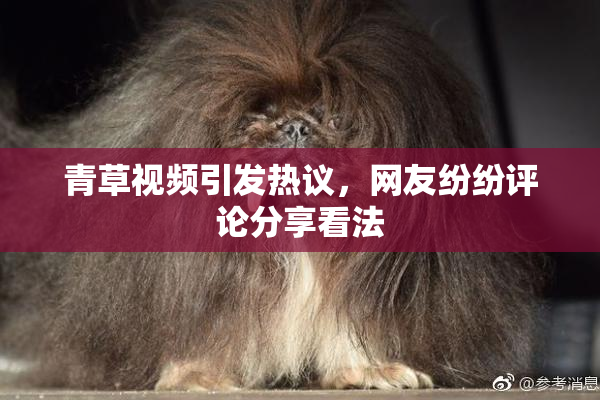 青草视频引发热议，网友纷纷评论分享看法
