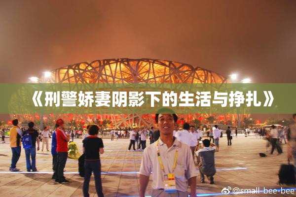 《刑警娇妻阴影下的生活与挣扎》