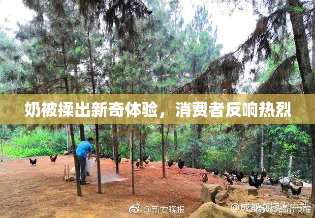 奶被揉出新奇体验，消费者反响热烈