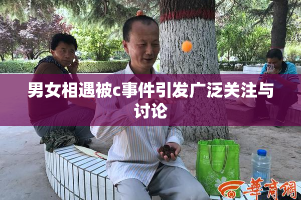 男女相遇被c事件引发广泛关注与讨论