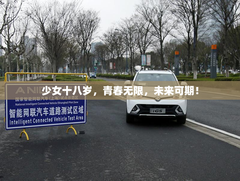 少女十八岁，青春无限，未来可期！