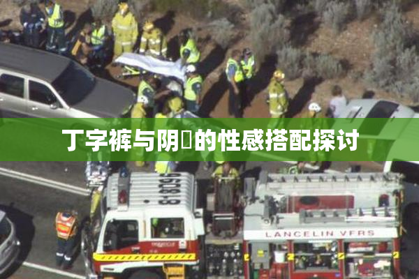 丁字裤与阴脣的性感搭配探讨