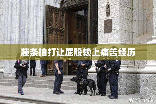 藤条抽打让屁股赖上痛苦经历