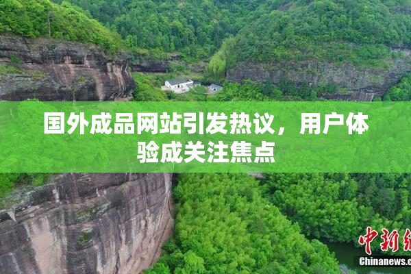 国外成品网站引发热议，用户体验成关注焦点